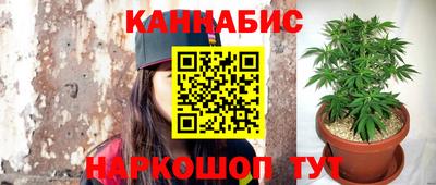 винт Будённовск
