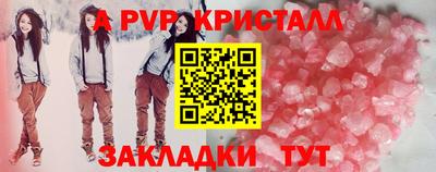 крисы Шелехов