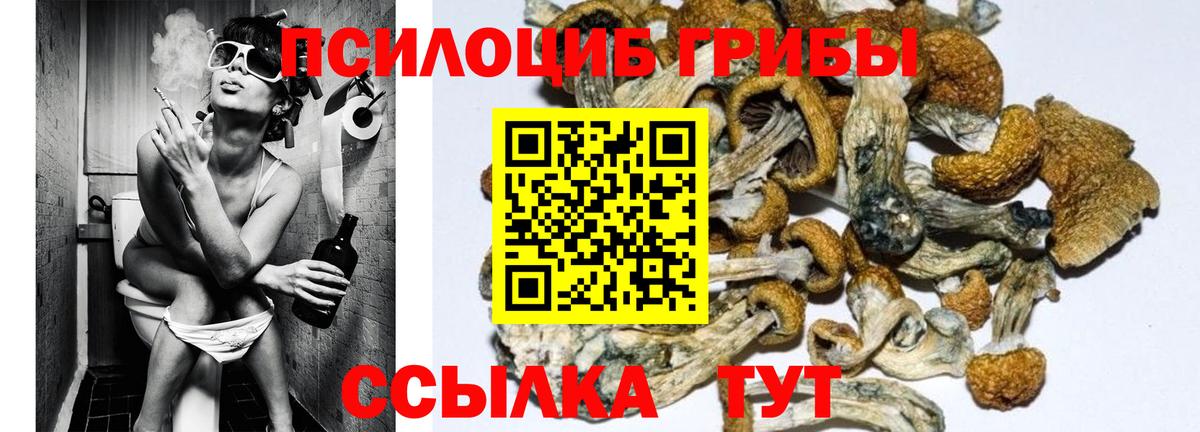 Лесной  Галлюциногенные грибы Magic Shrooms  Галлюциногенные грибы Cubensis  Вход с VPN 