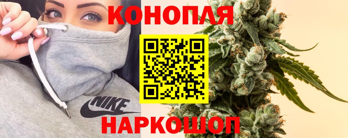 Конопля семена Лесной